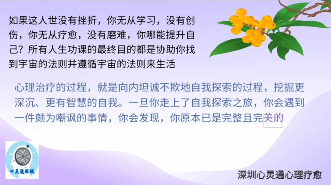 图片43：%如果这人世没有挫折，你无从学习