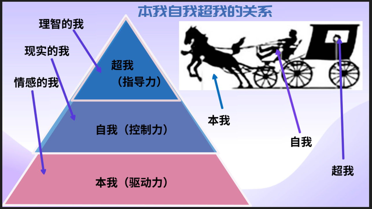 本我自我超我
